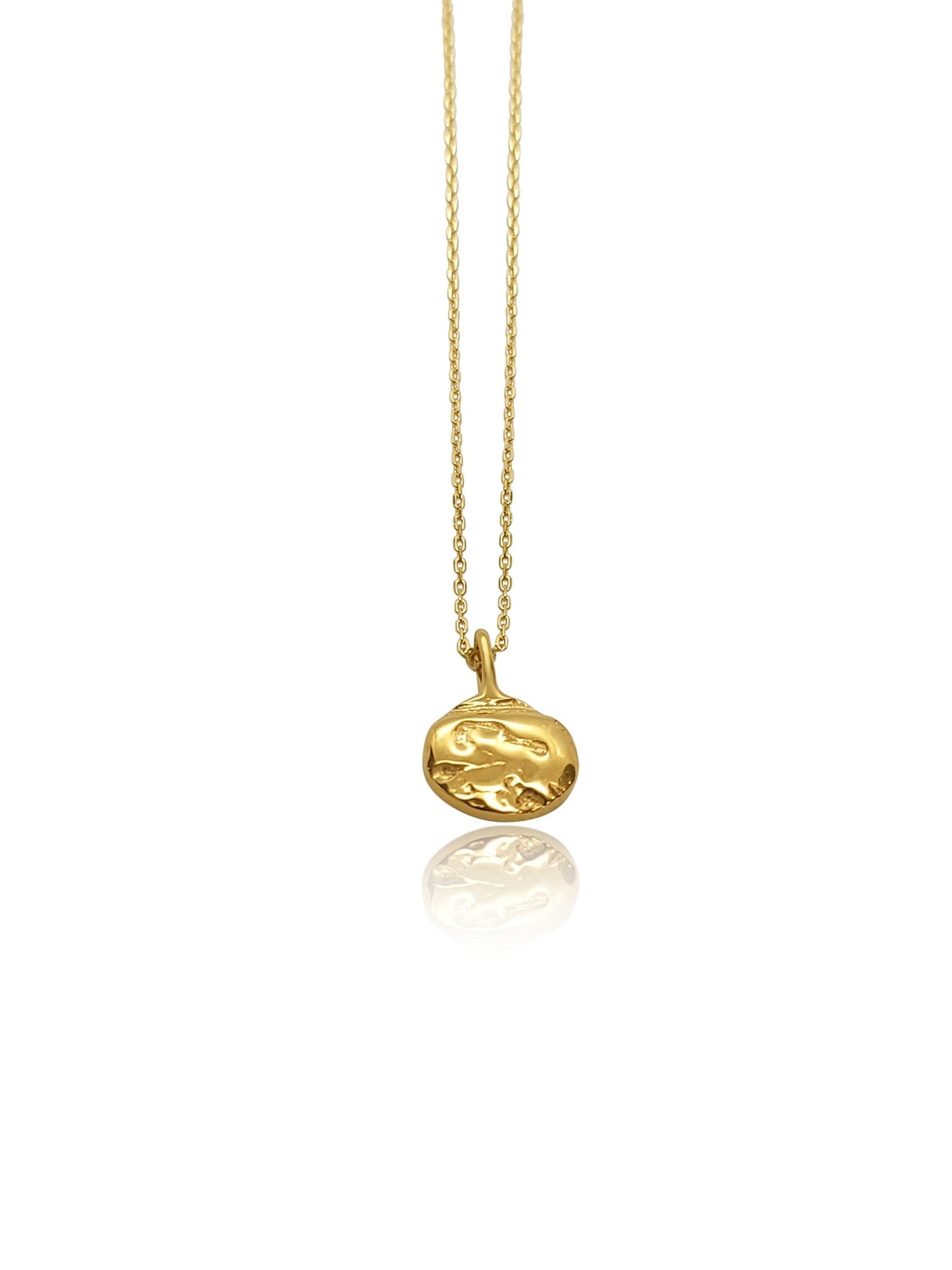 gold vermeil Ayla circle pendant necklace with driftwood texture on elegant minimalist design (2)