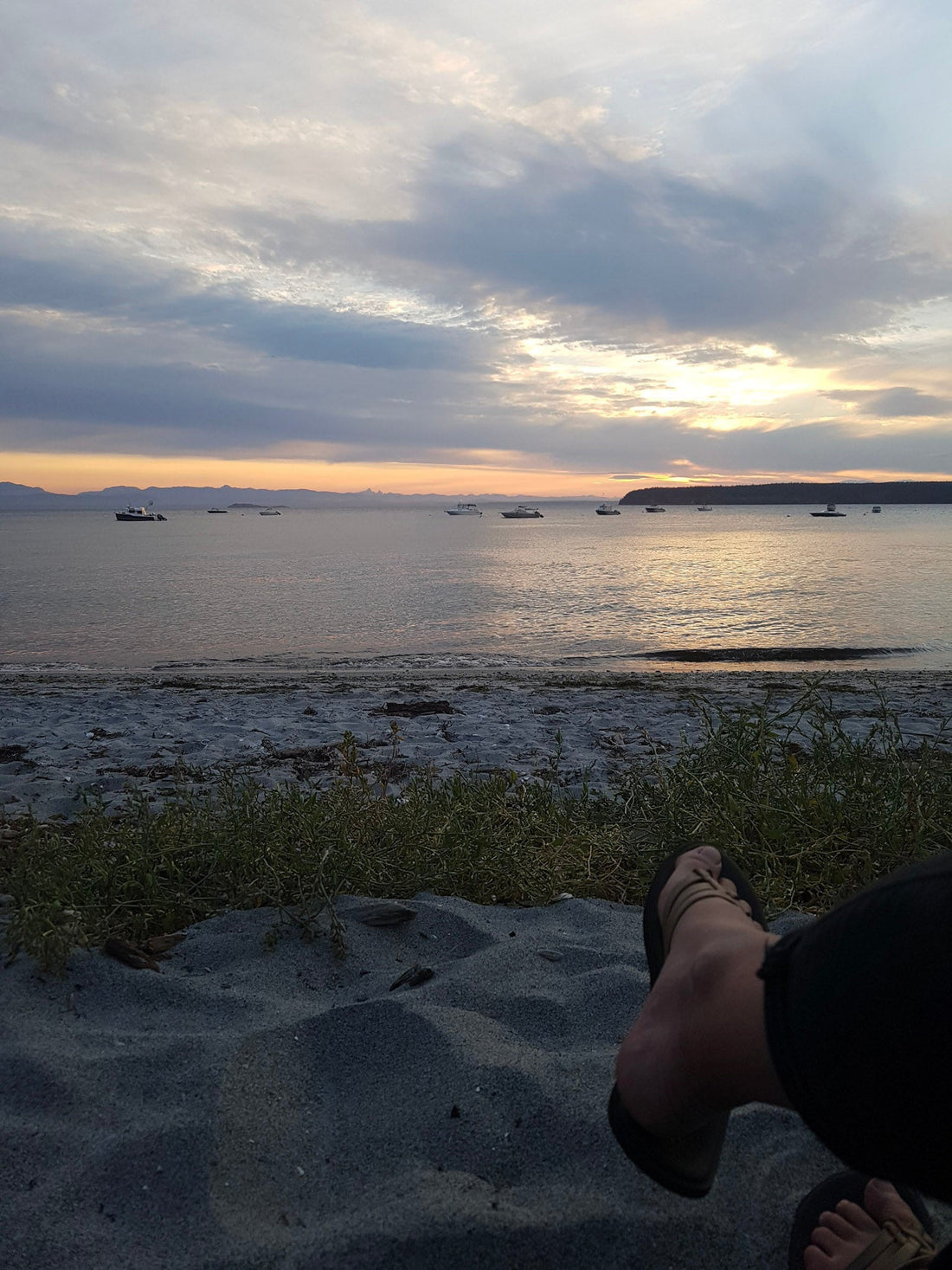 Contemplating the World at Large: A blog about nature and surrounding yourself with calming things. - Joie Designs