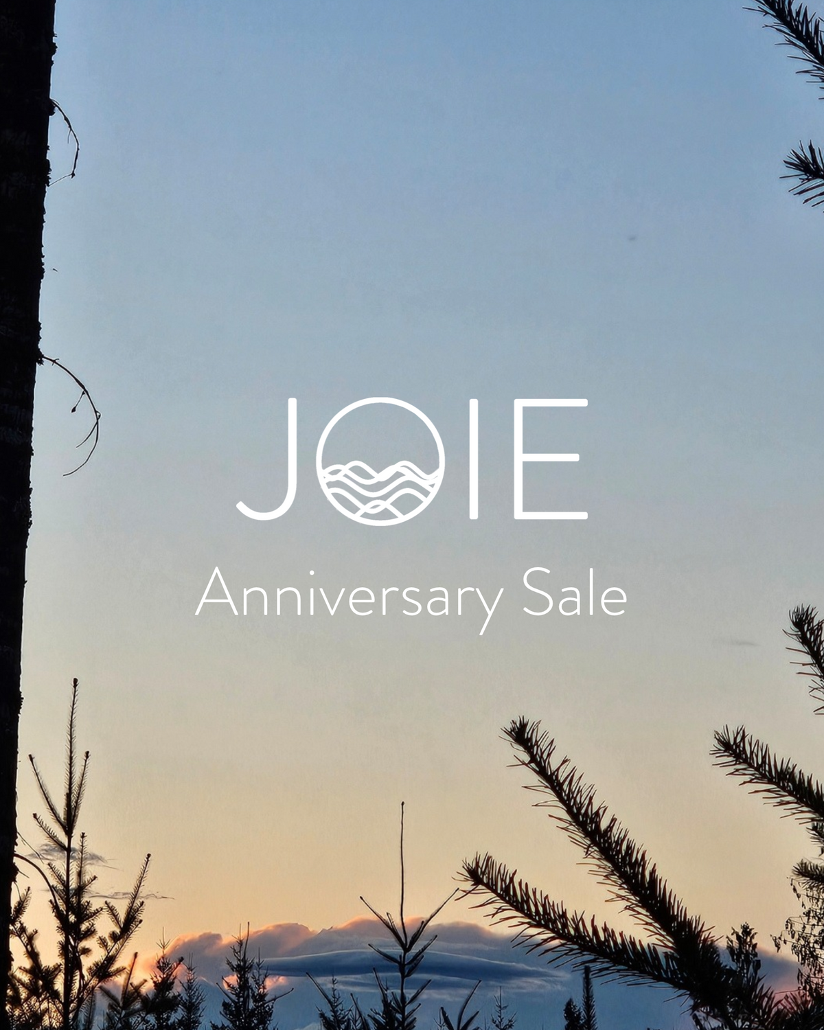 5 year anniversary sale announcement