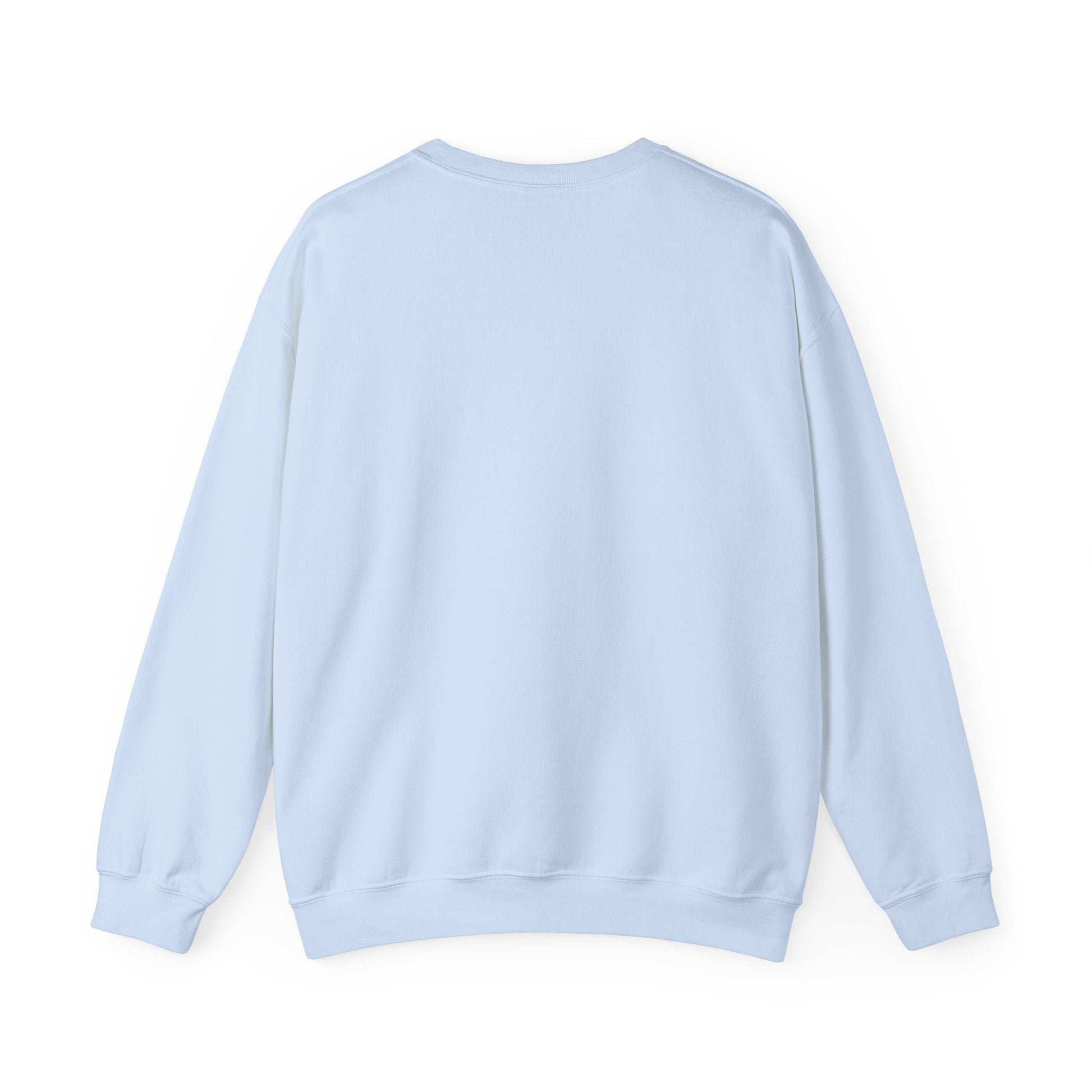 Joie Serenity Crewneck Sweatshirt