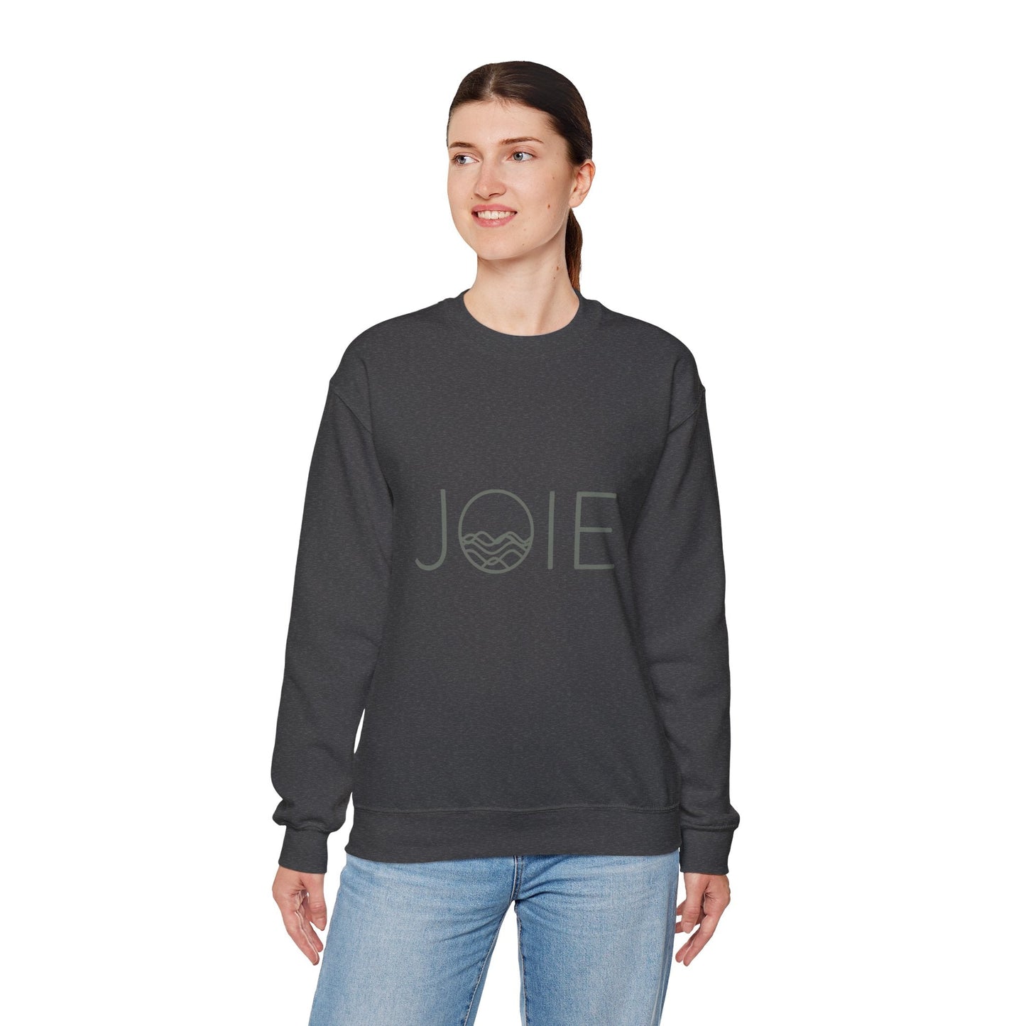 Joie Serenity Crewneck Sweatshirt