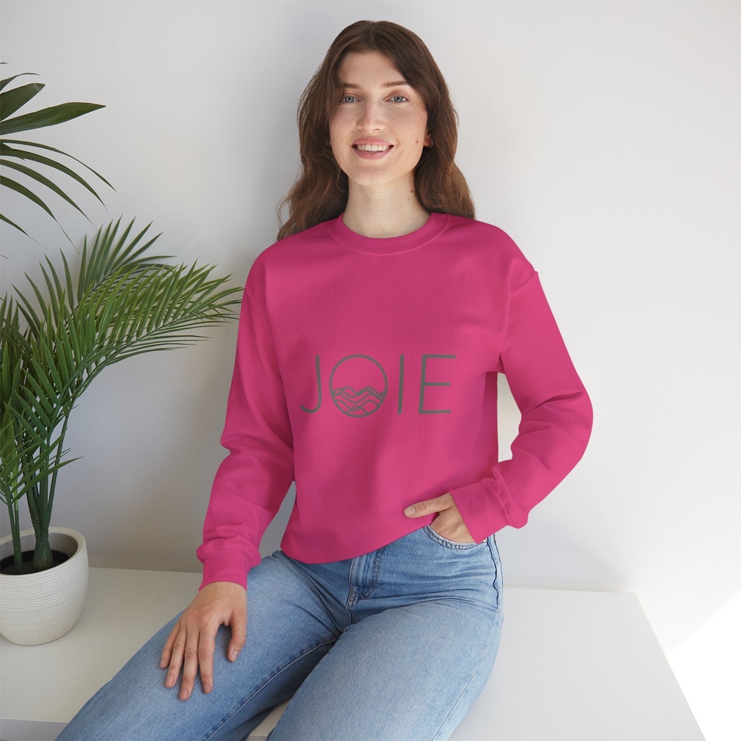 Joie Serenity Crewneck Sweatshirt