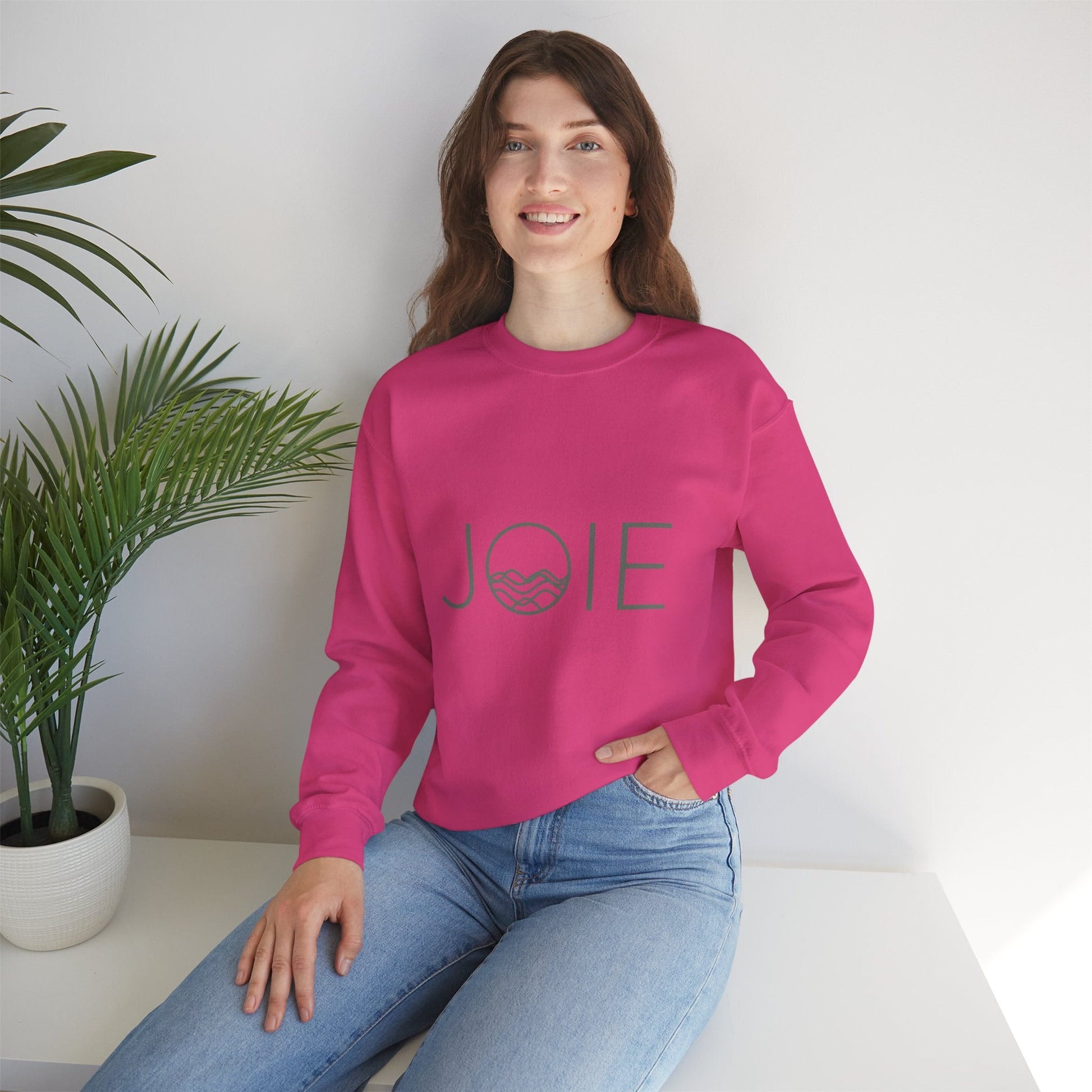 Joie Serenity Crewneck Sweatshirt