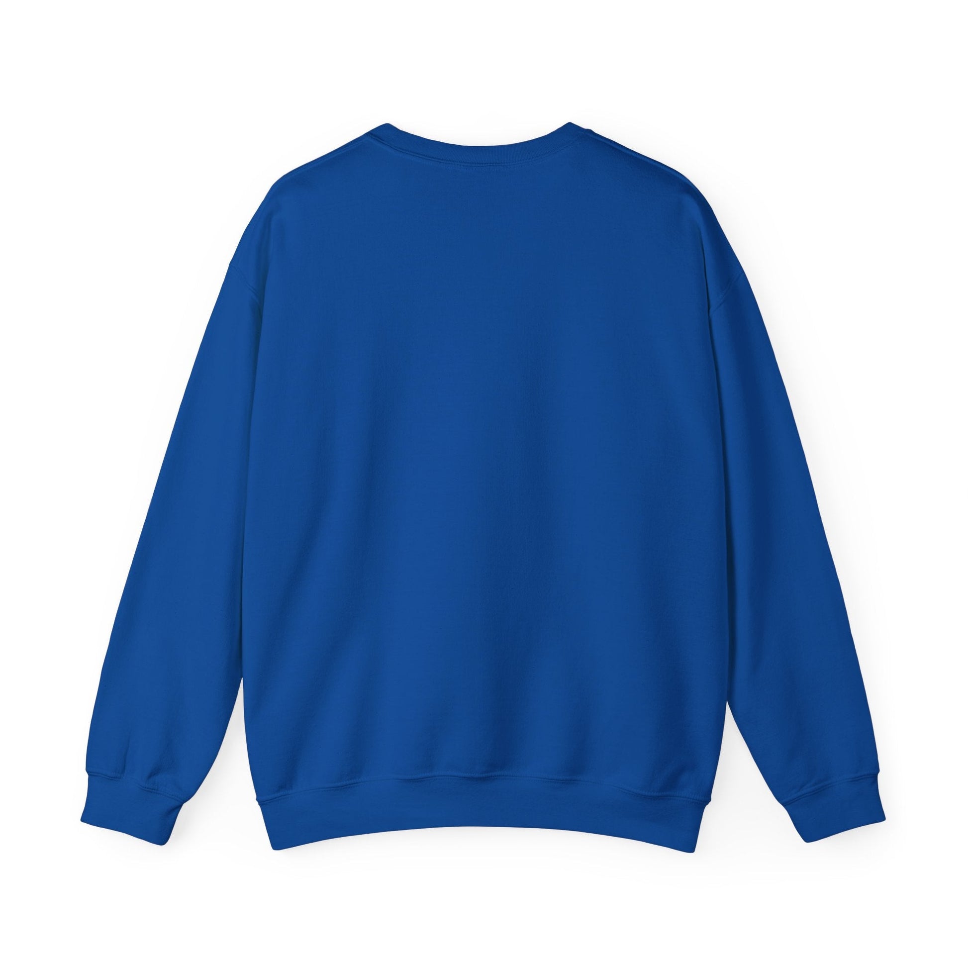 Joie Serenity Crewneck Sweatshirt