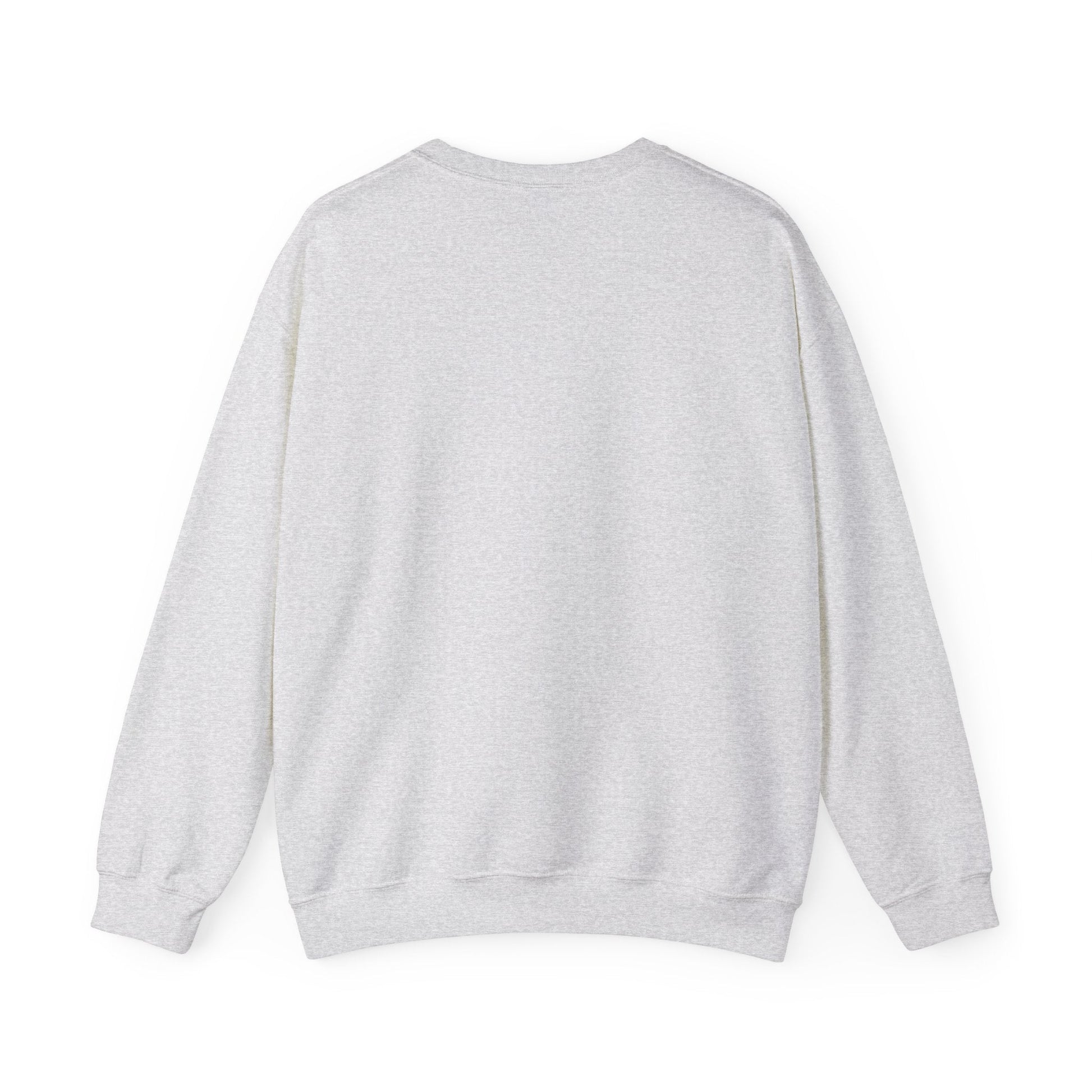 Joie Serenity Crewneck Sweatshirt