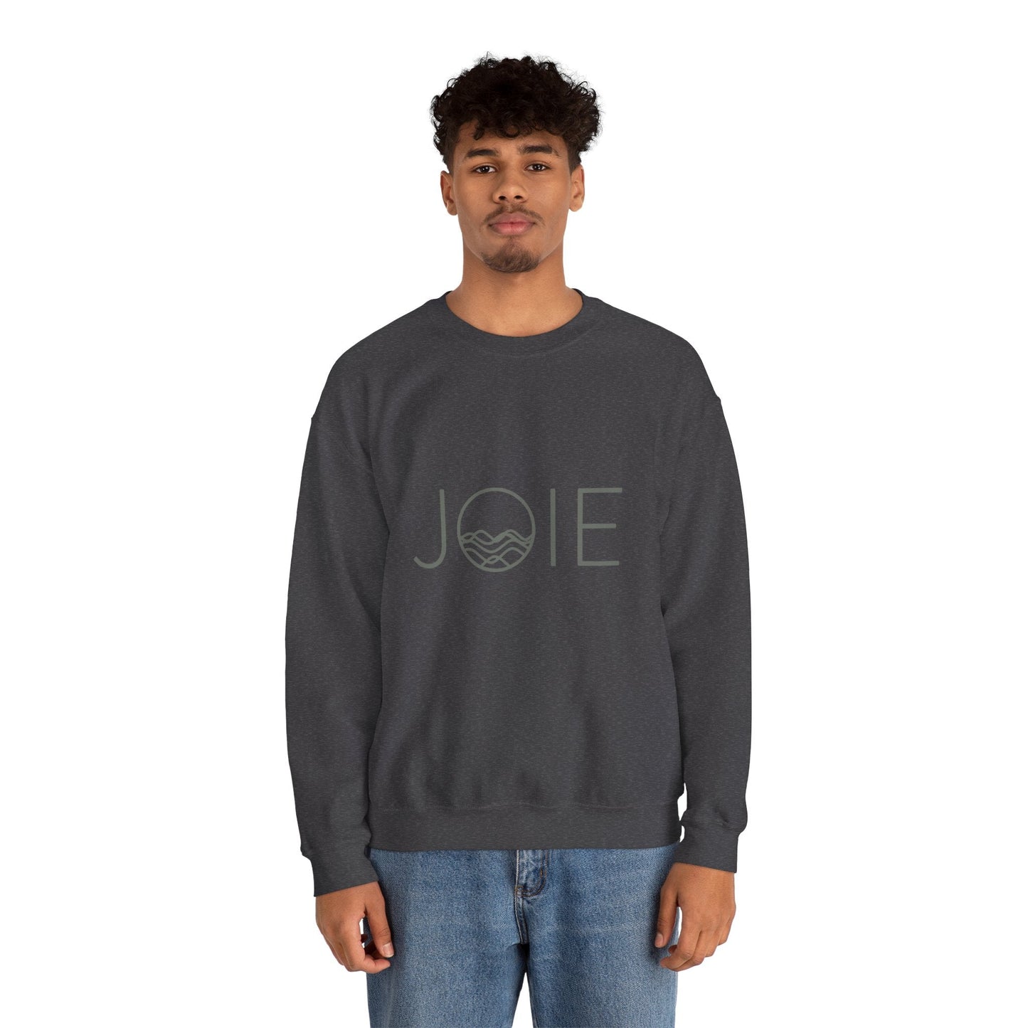 Joie Serenity Crewneck Sweatshirt