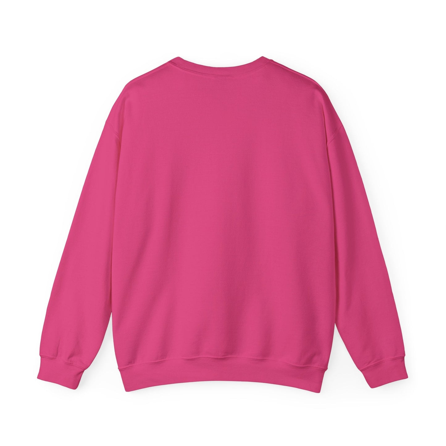 Joie Serenity Crewneck Sweatshirt