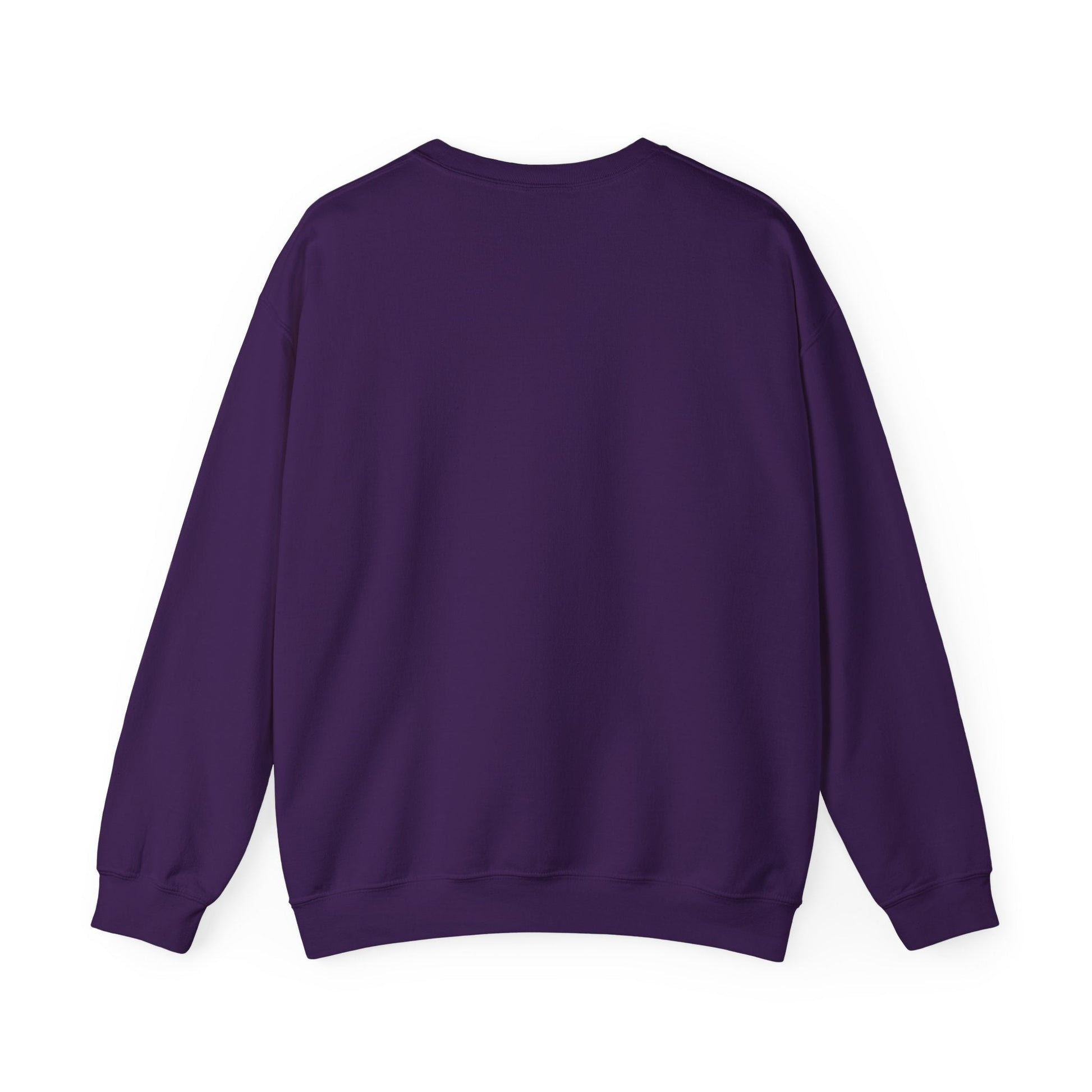Joie Serenity Crewneck Sweatshirt