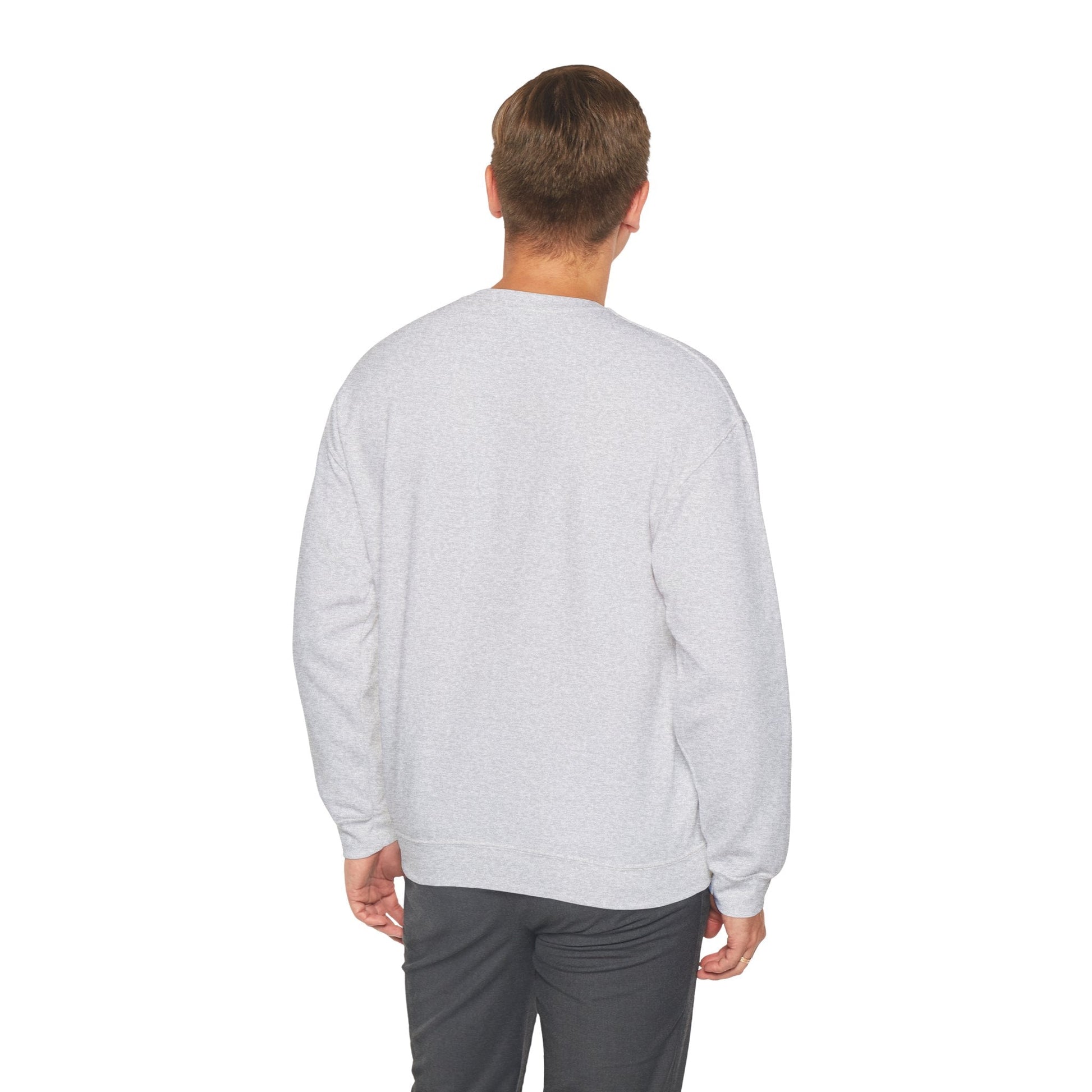 Joie Serenity Crewneck Sweatshirt