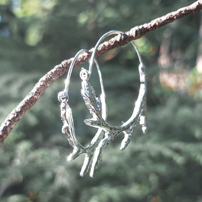 925 sterling silver Sacred Circle Cedar Hoop Earrings hanging on branch with evergreen forest background, nature jewelry